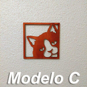 Modell C